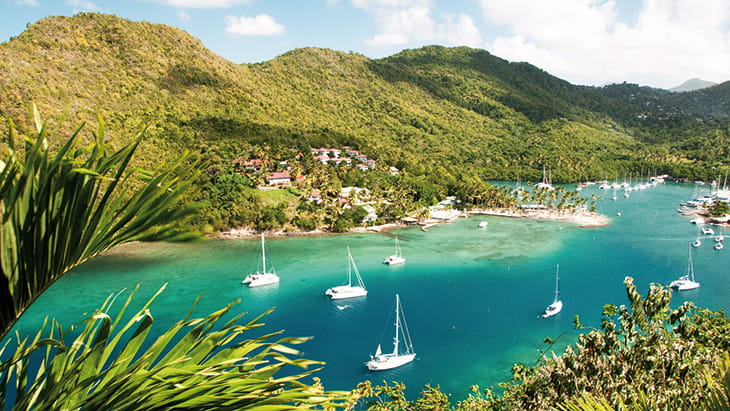 The coast of St Lucia